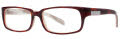 B.M.E.C. Big Mens Big Wig Tortoise/Gold Eyeglasses - Color Image