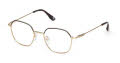 BMW BW5095-H Matte Pale Gold (032) Eyeglasses - Color Image