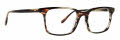 Badgley Mischka Donovan Brown Horn Eyeglasses - Color Image