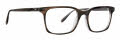 Badgley Mischka Donovan Charcoal Eyeglasses - Color Image