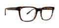 Badgley Mischka Alton Grey Tortoise Eyeglasses - Color Image