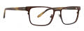 Badgley Mischka Saratoga Brown Eyeglasses - Color Image