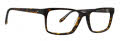 Badgley Mischka Stammond Tortoise Eyeglasses - Color Image