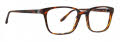 Badgley Mischka Thomas Brown Horn Eyeglasses - Color Image