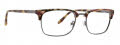 Badgley Mischka Vic Tan Tortoise Eyeglasses - Color Image