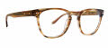 Badgley Mischka Zach Brown Horn Eyeglasses - Color Image