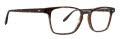 Badgley Mischka Hayes Tortoise Eyeglasses - Color Image
