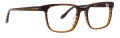 Badgley Mischka Kline Brown Horn Eyeglasses - Color Image