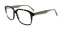 Benetton BEO 1133 Green/Grey (558) Eyeglasses - Color Image