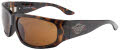 Black Flys Skater Fly Shiny Tortoise with Amber lens Sunglasses - Color Image