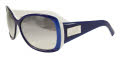 Black Flys Funk Fly Shiny Blue-White / Smoke Gradient Lens Sunglasses - Color Image