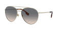 Burberry BE3115 Pale Gold / Light Brown Gradient Grey Lens (1109G9) Sunglasses - Color Image