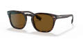 Burberry BE4329F Ellis - Alternate Fit Dark Havana / Polarized Brown Lens (300283) Sunglasses - Color Image