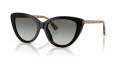 Burberry BE4457 Black/Grey Gradient (416111) Sunglasses - Color Image