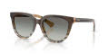Burberry BE4469F Check Sand/Grey Gradient (420211) Sunglasses - Color Image