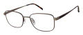 CHARMANT Titanium Perfection CT 29129 Gray Eyeglasses - Color Image