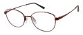 CHARMANT Titanium Perfection CT 29234 Dark Brown Eyeglasses - Color Image