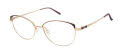 CHARMANT Titanium Perfection CT 29238 Gep Eyeglasses - Color Image