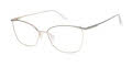 CHARMANT Titanium Perfection CT 29239 Silver Eyeglasses - Color Image