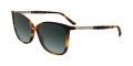 Calvin Klein CK25504S Brown Blue Grad Sunglasses - Color Image