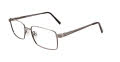 Cargo C5039 Satin Brushed Silver (020) Eyeglasses - Color Image