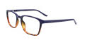 Cargo C5052 Dark Blue & Demi Amber (050) Eyeglasses - Color Image