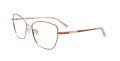Cargo C5510 Bronze & Silver (010) Eyeglasses - Color Image