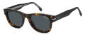 Carrera Carrera 330/S Havana / Grey (0086/IR) Sunglasses - Color Image