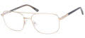 Caterpillar CTO-3016 Matte Gold (001) Eyeglasses - Color Image