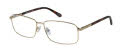 Caterpillar CTO-3028 Matte Gold Tortoise (001) Eyeglasses - Color Image