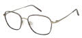 CHARMANT Titanium Perfection CT 29112 Gray Eyeglasses - Color Image