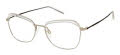 CHARMANT Titanium Perfection CT 29218 Silver Eyeglasses - Color Image