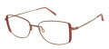 CHARMANT Titanium Perfection CT 29219 Wine Eyeglasses - Color Image