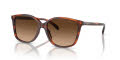 Coach HC8361U Caramel Tortoise / Brown Gradient (574174) Sunglasses - Color Image