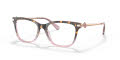 Coach HC6176 Rose Tortoise Gradient (5650) Eyeglasses - Color Image