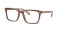 Coach HC6238U Transparent-Pecan (5819) Eyeglasses - Color Image