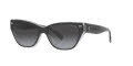 Coach HC8370U Black/Transparent Grey / Grey Gradient (57458G) Sunglasses - Color Image
