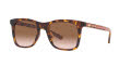 Coach HC8374U Dark Tortoise / Brown Pink Gradient Lens (512013) Sunglasses - Color Image