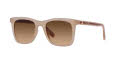 Coach HC8374U Milky Ivory / Saddle / Brown Gradient Lena (574774) Sunglasses - Color Image