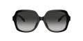 Coach HC8395U Black / Grey-Gradient (50023C) Sunglasses - Color Image