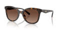 Coach HC8419U Dark Tortoise/Brown Gradient Polar (5120T5) Sunglasses - Color Image