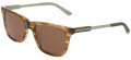 Cole Haan CH6086 Brown Horn (210) Sunglasses - Color Image
