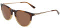 Cole Haan CH6507 Brown Horn (210) Sunglasses - Color Image