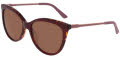 Cole Haan CH7088 Burgundy (603) Sunglasses - Color Image