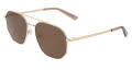 Cole Haan CH7094 Gold (710) Sunglasses - Color Image