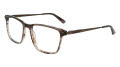 Cole Haan CH4050 Brown Crystal (210) Eyeglasses - Color Image
