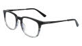 Cole Haan CH4052 Smoke Horn (020) Eyeglasses - Color Image