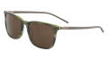 Cole Haan CH6064 Olive Horn (310) Sunglasses - Color Image