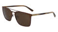 Cole Haan CH6081 Brown (210) Sunglasses - Color Image