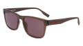 Converse CV529S MALDEN Crystal Brazil Nut (201) Sunglasses - Color Image